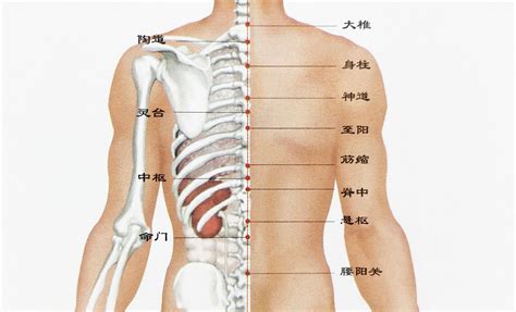 背部很多痣|痣